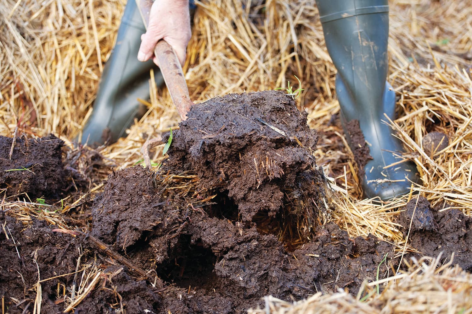 Erfolgreich planen dank detailliertem Bodengutachten