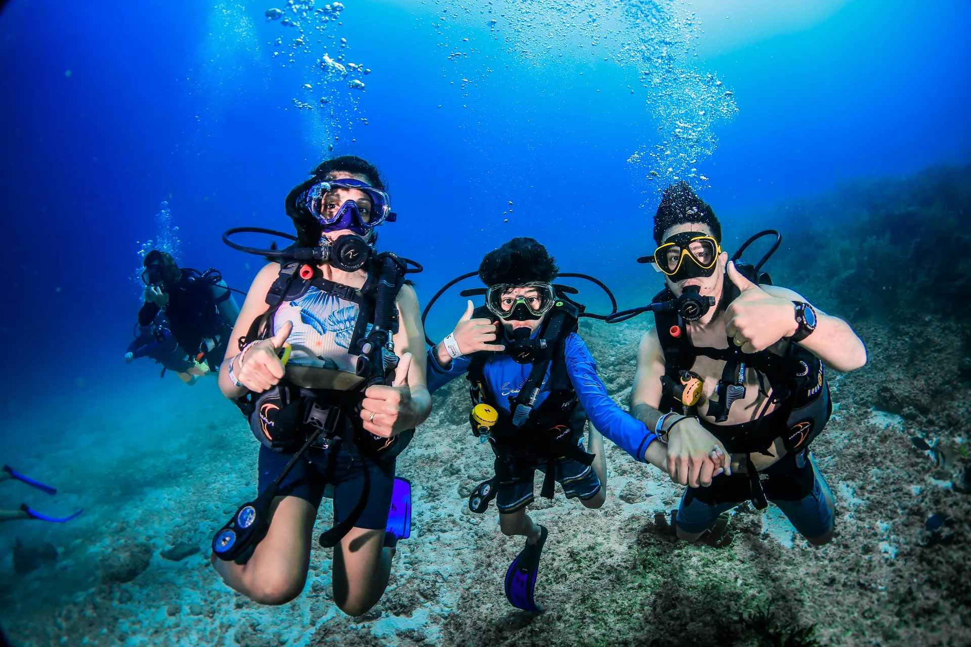 Tauchschule Playa del Carmen: Entdecke das zweitgrößte Riff der Welt