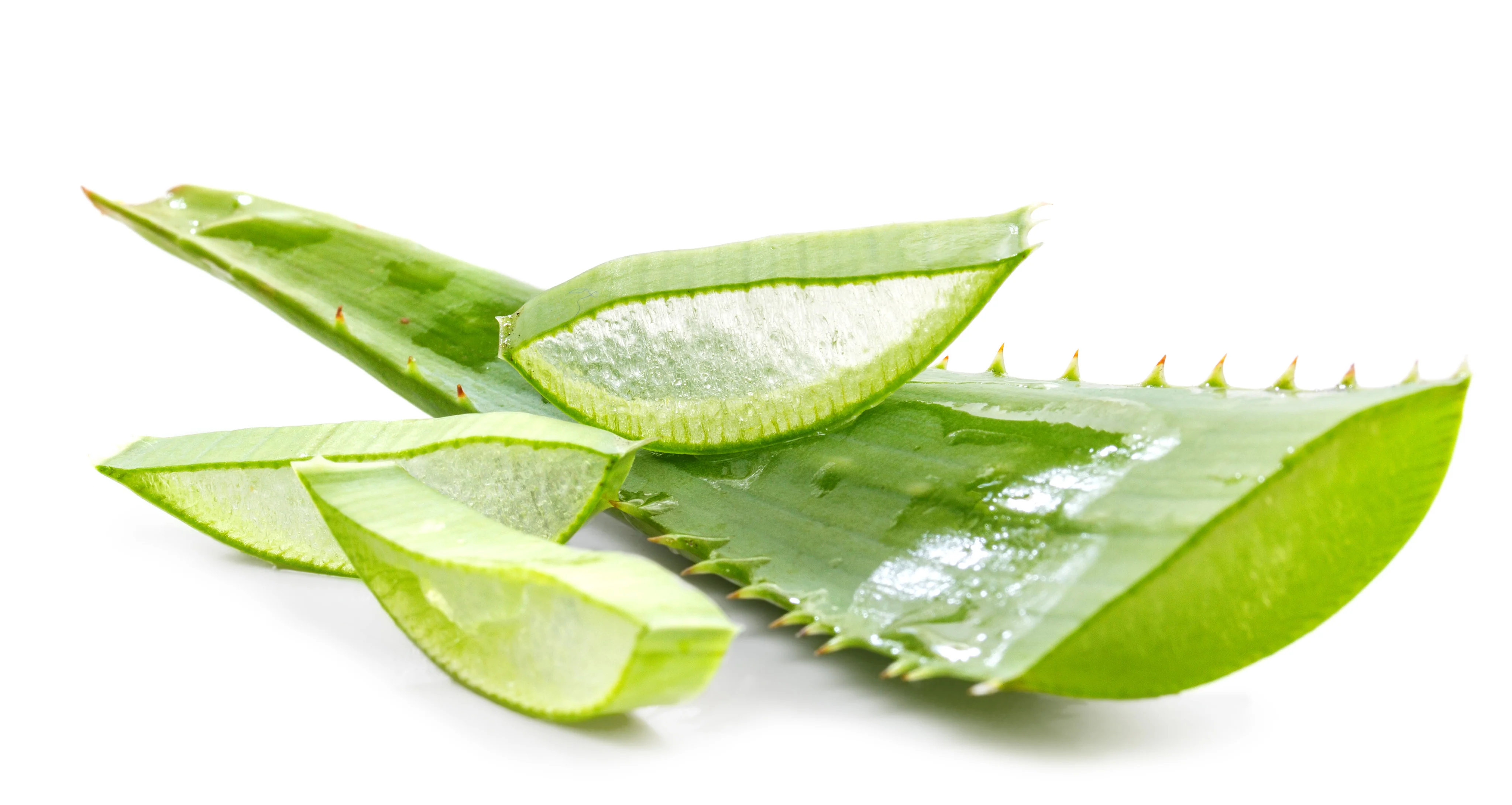 Aloe Vera Gel Gelly: Ein Muss für den Unabhängigen Distributor von Forever Living Products