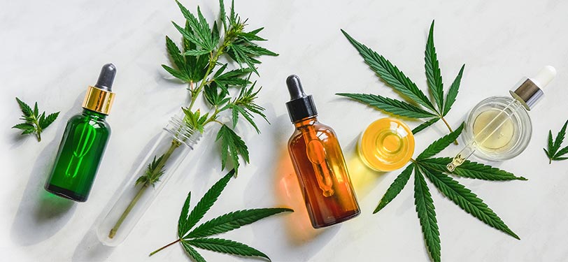 Was Sie über Cannabinoide wissen müssen: CBD und THC