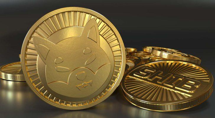 Shiba Inu Coin: Die Kryptowährung mit dem Thema Shiba Inu, die das Internet im Sturm erobert