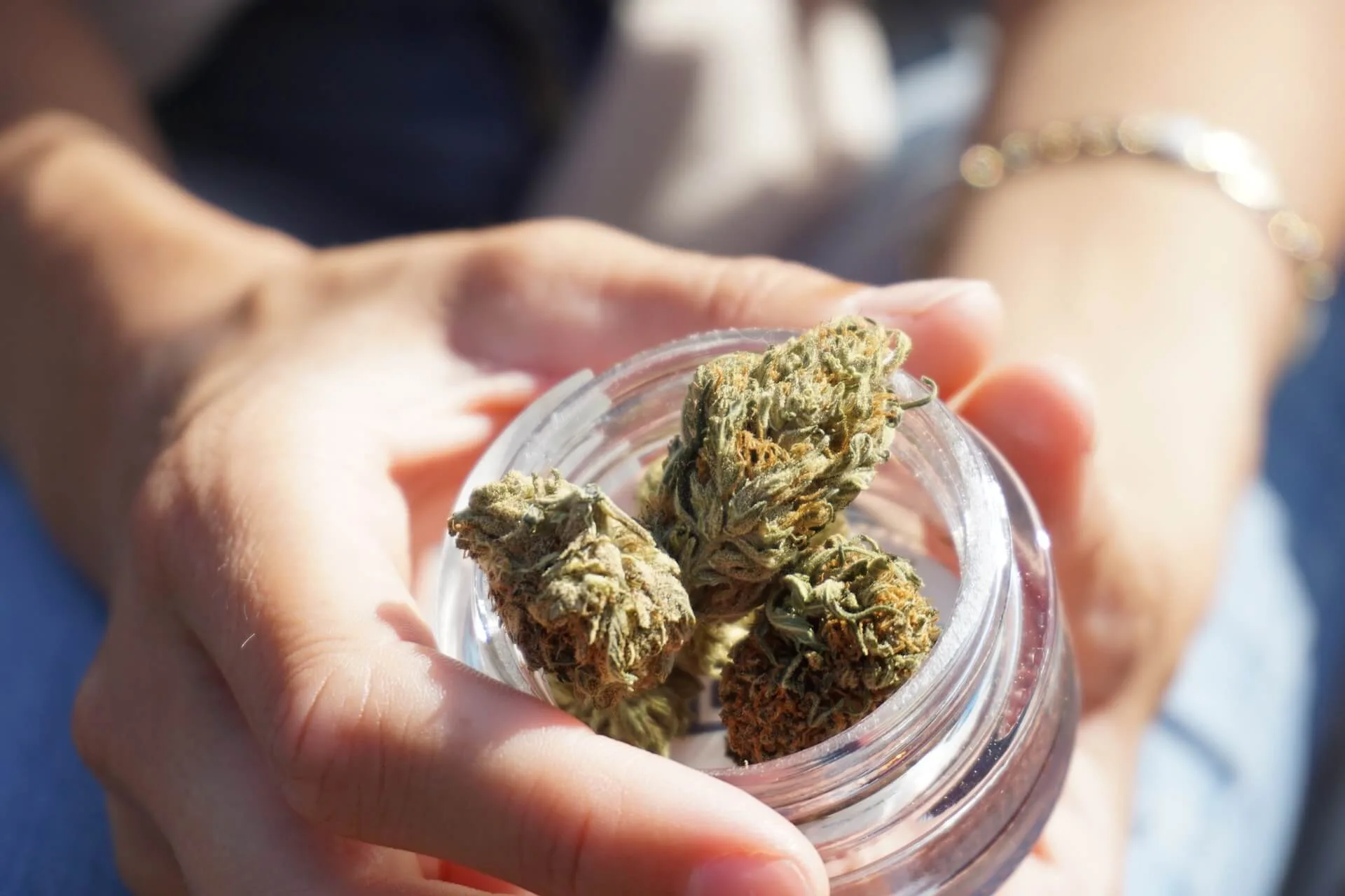 Cannapot präsentiert die besten Sinsemilla-Sorten für Weed-Fans