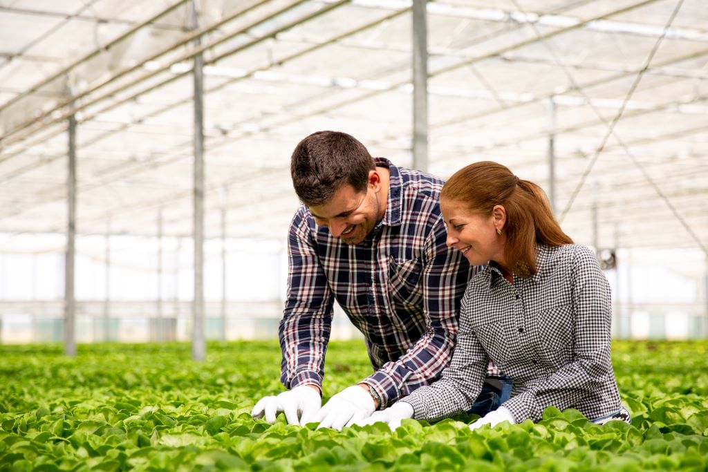 Landwirtschaftshelfer gesucht – Effiziente Unterstützung für Ihren Betrieb