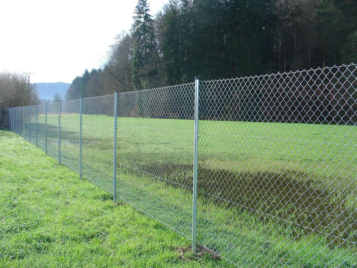 Verwobene Flüstern: Echos des Maschendrahtzauns
