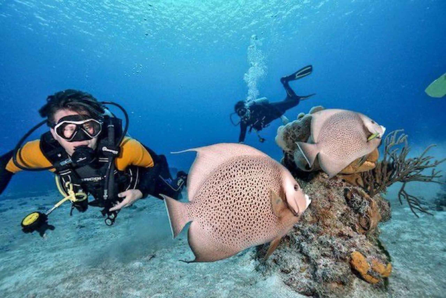 Tauchschule Playa del Carmen: Entdecke das zweitgrößte Riff der Welt